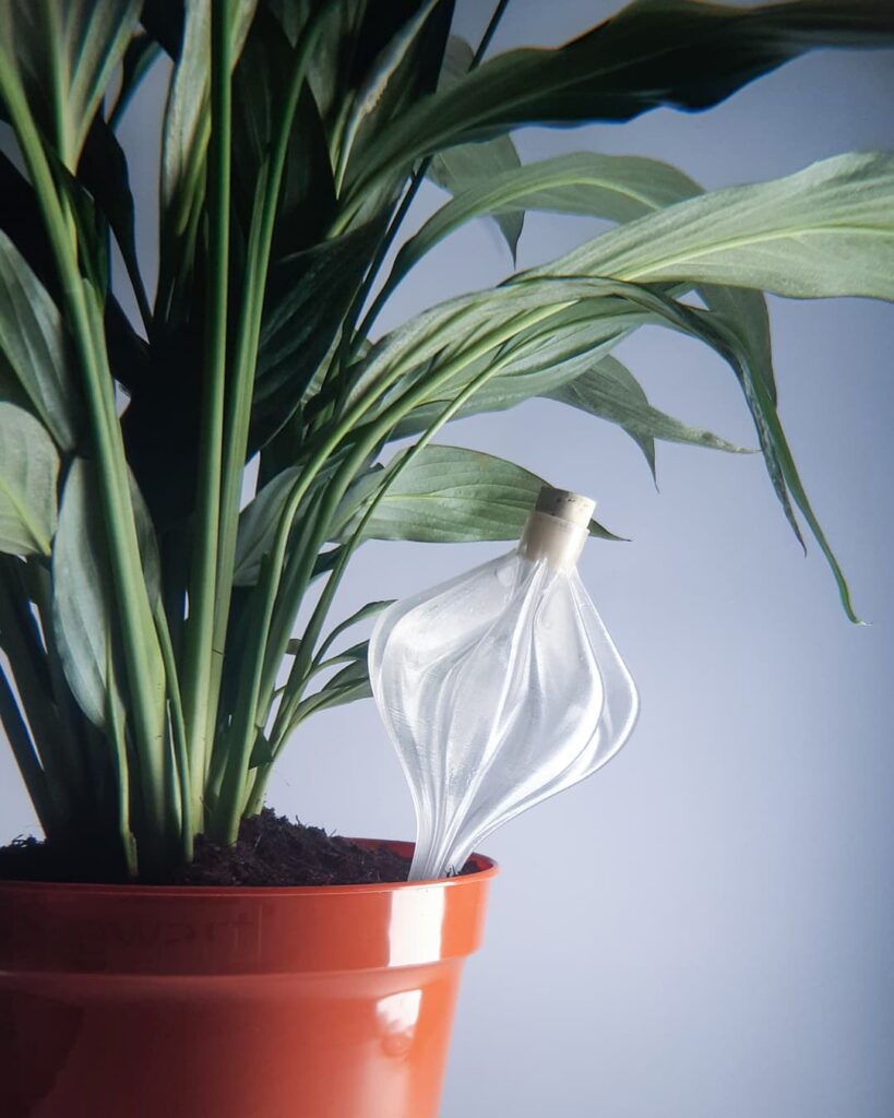 3D printed plant watering bulb